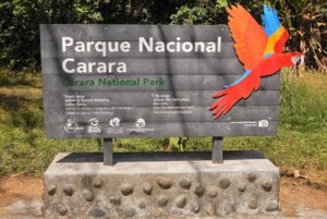 Image 1 of birdwatching tour in Costa Rica