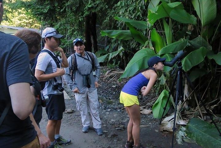 birdwatching tour in Costa Rica,private birding tour Costa Rica,Carara National Park birding,best birdwatching tours Costa Rica,Costa Rica birding guide,Carara National Park worth visiting - best seasons and travel conditions