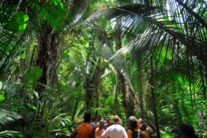 Image 1 of hiking and river tubing in Belize