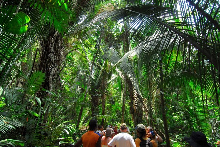 Image 1 of hiking and river tubing in Belize