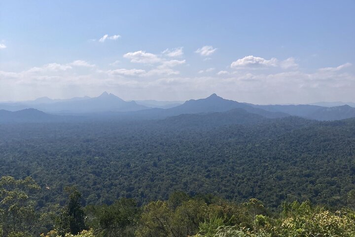 Step-by-step travel guide for hiking and river tubing in Belize,Cockscomb Basin worth visiting,best tours in Placencia,Belize hiking tours,Cockscomb Basin wildlife sanctuary,Belize adventure tours - transport and logistics