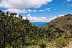 Image 1 of hiking tour in El Palmar Bolivia