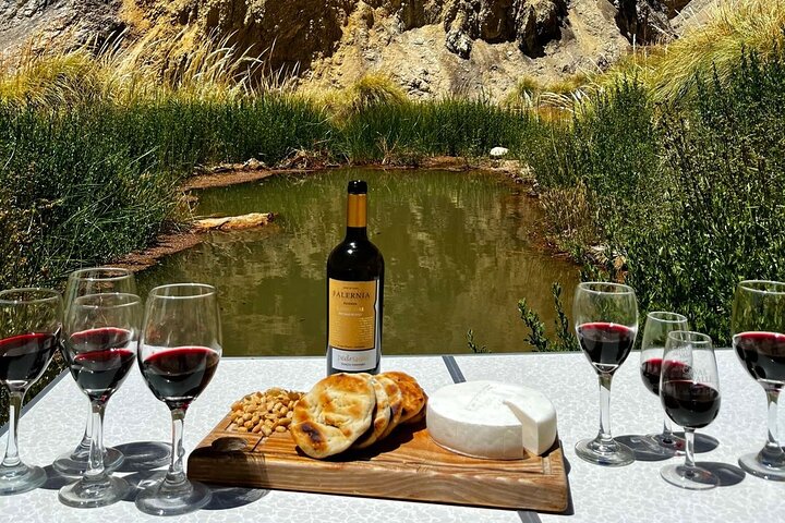 hot springs in the Andes mountains,Andes hot springs tour,Chile hot springs worth visiting,best hot springs tours Chile,Andes mountains thermal baths,private hot springs tour Chile - complete tour package inclusions and what to expect