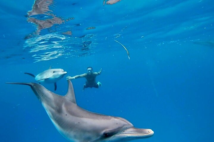 Image 1 of luxury adventure in Bimini