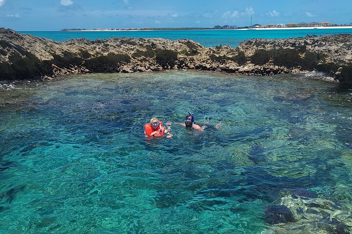 Step-by-step travel guide for luxury adventure in Bimini,is Bimini worth visiting,Bimini vs Nassau,Bimini best time to visit,Bimini tour deals,best tours in Bimini - transport and logistics