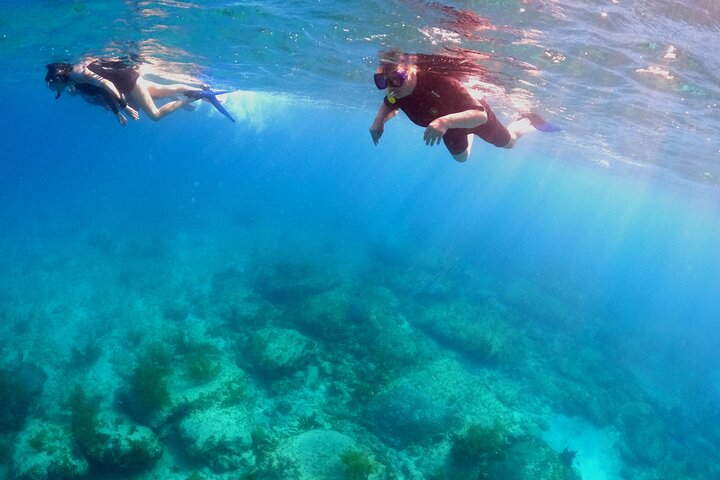 luxury adventure in Bimini,is Bimini worth visiting,Bimini vs Nassau,Bimini best time to visit,Bimini tour deals,best tours in Bimini - best seasons and travel conditions