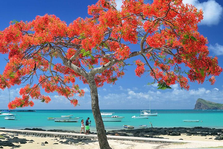 private car hire in Mauritius,Mauritius private driver tour,Mauritius car with driver,best day tours in Mauritius,Mauritius private transport,Mauritius custom tour - complete tour package inclusions and what to expect