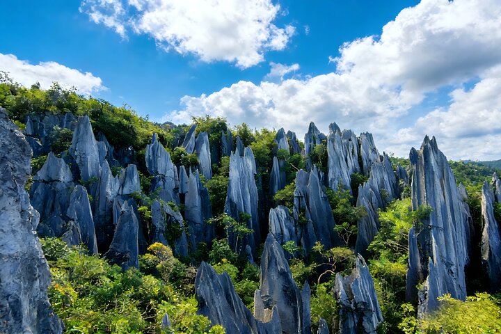 private day tour in Kunming,Kunming Stone Forest tour,Chengzi Ancient Town tour,best tours in Kunming,Kunming day trip deals,Kunming private tour guide - best seasons and travel conditions