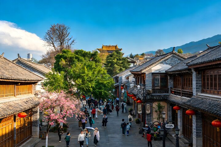 Step-by-step travel guide for private day tour to Dali,Dali day trip from Kunming,Kunming to Dali bullet train tour,best Dali city highlights tour,private Dali tour guide,Dali one day itinerary - transport and logistics