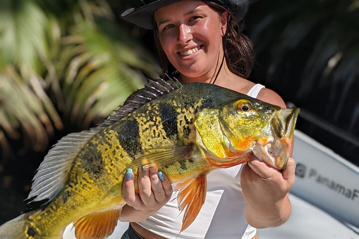 Step-by-step travel guide for private fishing in panama canal,panama canal fishing tours,gatun lake fishing trip,best fishing tours panama,panama canal private boat tour,is panama canal fishing worth it - transport and logistics