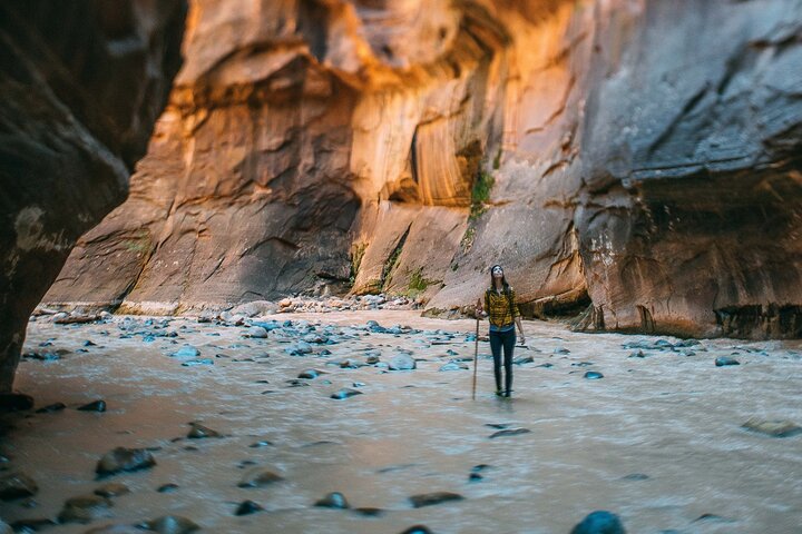 Step-by-step travel guide for private hiking tour in Zion,Zion private tour deals,best Zion hiking tours,Zion full day tour,Zion Narrows guided hike,is a private Zion tour worth it - transport and logistics
