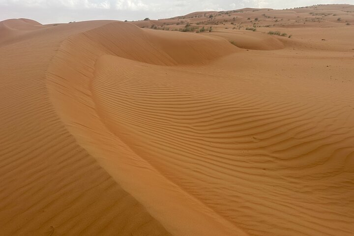 Step-by-step travel guide for private safari tour Oman,Oman safari tour deals,best private tours in Oman,Oman wadi 4x4 adventure,is Oman worth visiting,Oman desert safari experience - transport and logistics