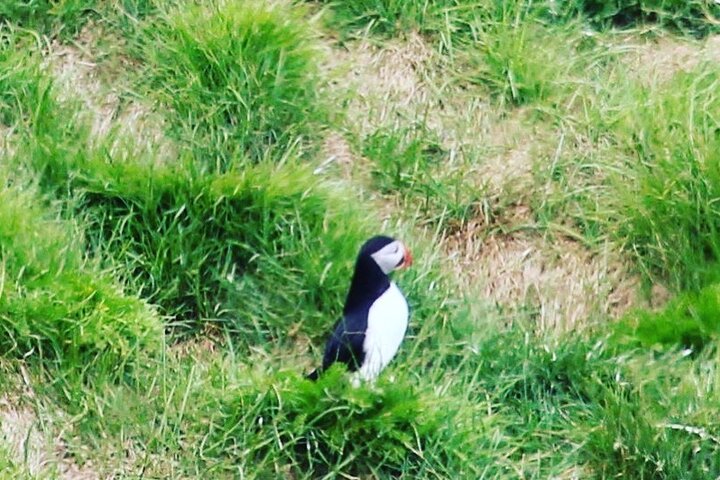 private south coast tour Iceland,south coast Iceland worth visiting,best private tours Iceland,south coast Iceland tour deals,is south coast Iceland worth it,south coast vs golden circle - best seasons and travel conditions