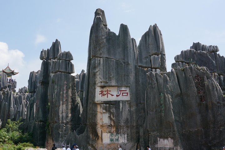 Image 1 of private stone forest tour kunming
