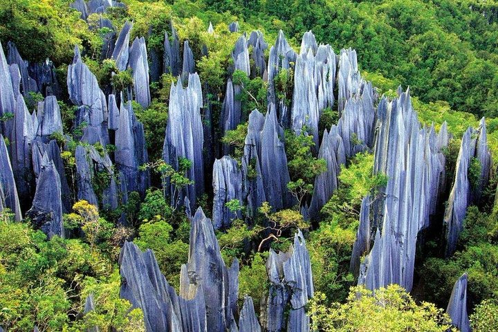 private stone forest tour kunming,stone forest kunming worth visiting,kunming stone forest day trip,best tours in kunming china,stone forest and flower birds market,kunming private tour deals - complete tour package inclusions and what to expect