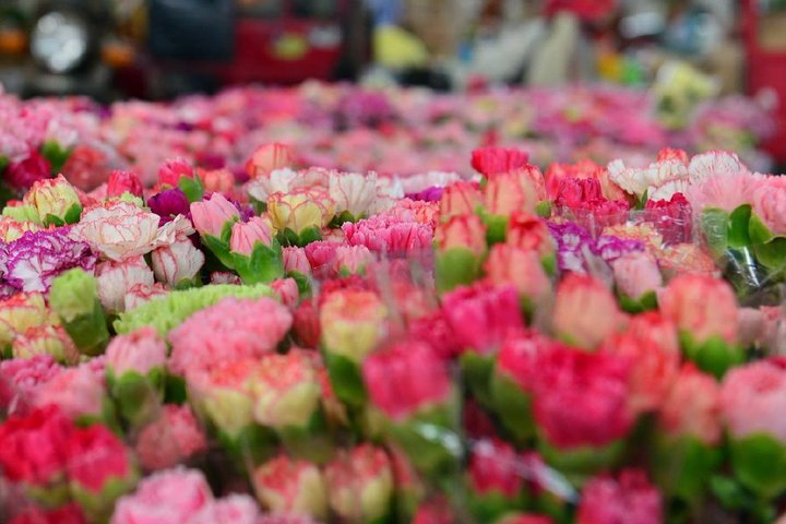Step-by-step travel guide for private stone forest tour kunming,stone forest kunming worth visiting,kunming stone forest day trip,best tours in kunming china,stone forest and flower birds market,kunming private tour deals - transport and logistics