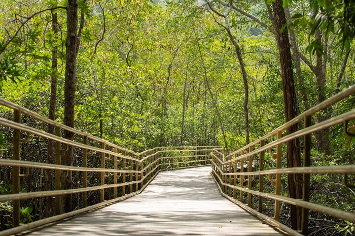 Step-by-step travel guide for private tour in Manuel Antonio,Manuel Antonio private tour deals,is Manuel Antonio worth visiting,Manuel Antonio best time to visit,Manuel Antonio vs Tamarindo,best tours in Manuel Antonio - transport and logistics