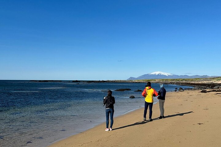 Step-by-step travel guide for private tour snaefellsnes peninsula,snaefellsnes peninsula tour deals,is snaefellsnes peninsula worth visiting,best tours in snaefellsnes,snaefellsnes peninsula travel guide,snaefellsnes vs golden circle - transport and logistics
