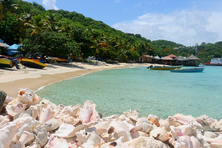 private tour st vincent,st vincent private tours,st vincent half day tour,st vincent tour deals,best tours in st vincent,st vincent worth visiting - complete tour package inclusions and what to expect