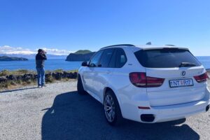 Image 1 of private tour westman islands