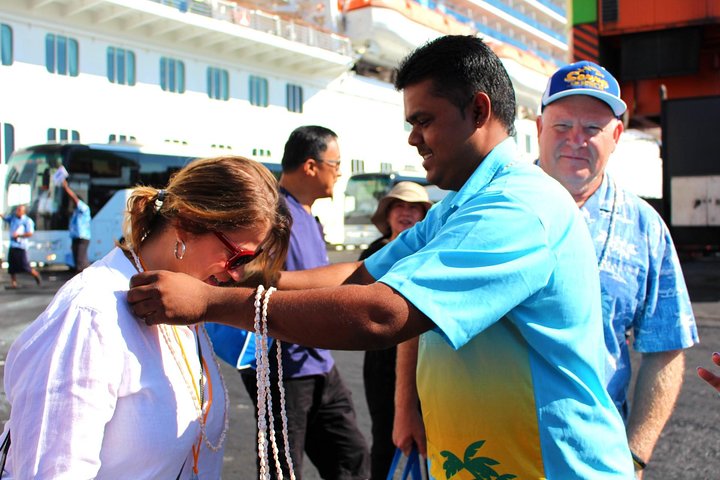 private transfer suva to nadi,suva to nadi airport transfer,suva nadi private car,best airport transfer fiji,suva hotel to nadi airport,fiji private transport deals - best seasons and travel conditions