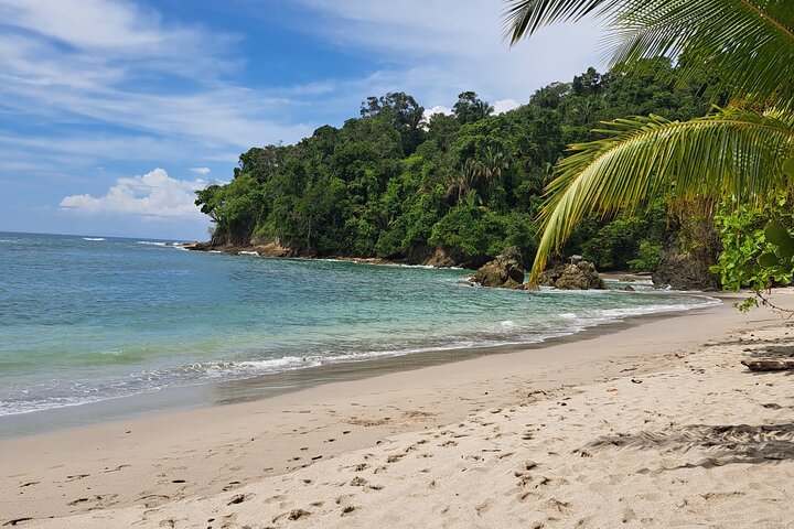 Step-by-step travel guide for private transportation san jose to manuel antonio,san jose to manuel antonio transfer,manuel antonio private shuttle,best way to get to manuel antonio,costa rica private transport,manuel antonio travel tips - transport and logistics