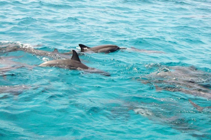 private van tour to pipa,pipa beach tour from natal,is pipa worth visiting,pipa vs natal,best time to visit pipa,pipa tour deals - best seasons and travel conditions