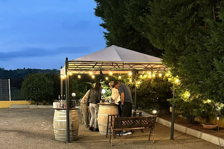 private wine tasting tour matera,is matera worth visiting,matera vs alberobello,matera best time to visit,matera tour deals,best tours in matera - best seasons and travel conditions