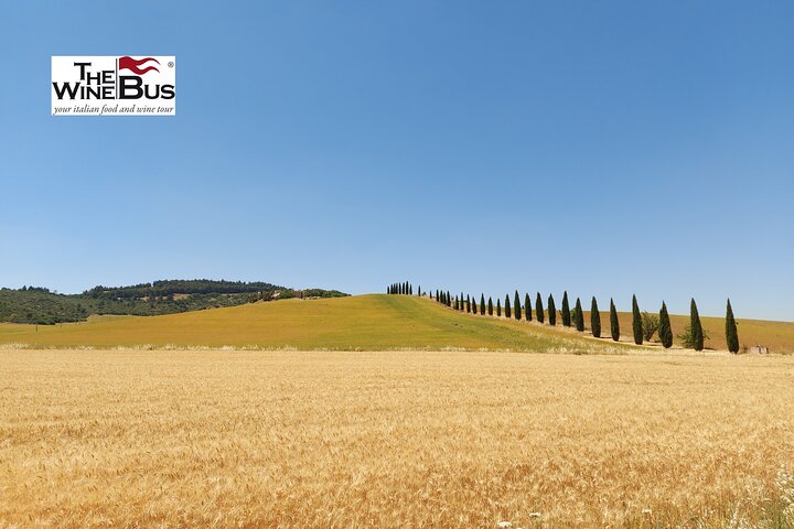 private wine tour from Matera,wine tasting tours Matera,Matera wine tour deals,Vulture wine region tour,best wineries near Matera,private sommelier tour Italy - complete tour package inclusions and what to expect