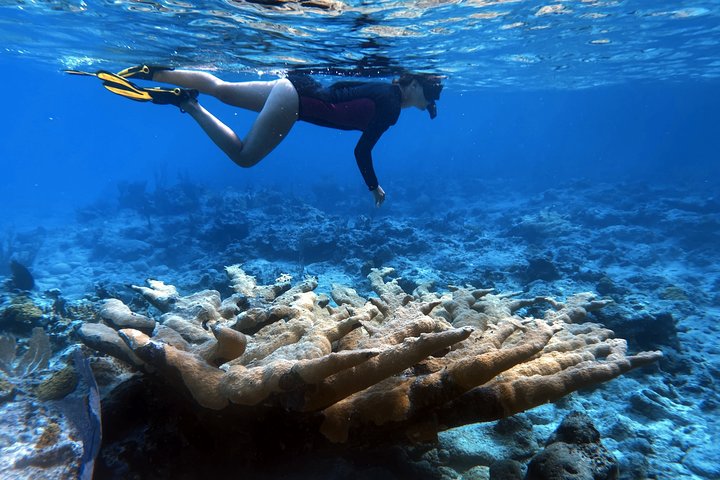 sailing catamaran in the exumas,exumas sailing tours,best catamaran tours bahamas,exumas worth visiting,private sailing trip exumas,exumas travel guide - best seasons and travel conditions