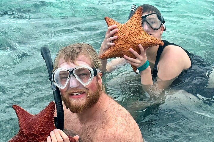 Step-by-step travel guide for snorkeling in Bimini Bahamas,best snorkeling tours Bimini,Bimini snorkeling adventure,Bimini Bahamas worth visiting,Bimini shark arena snorkel,Bimini tour deals - transport and logistics
