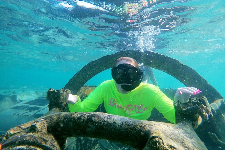 snorkeling in Bimini Bahamas,best snorkeling tours Bimini,Bimini snorkeling adventure,Bimini Bahamas worth visiting,Bimini shark arena snorkel,Bimini tour deals - best seasons and travel conditions