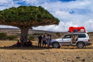 Image 1 of socotra island worth visiting