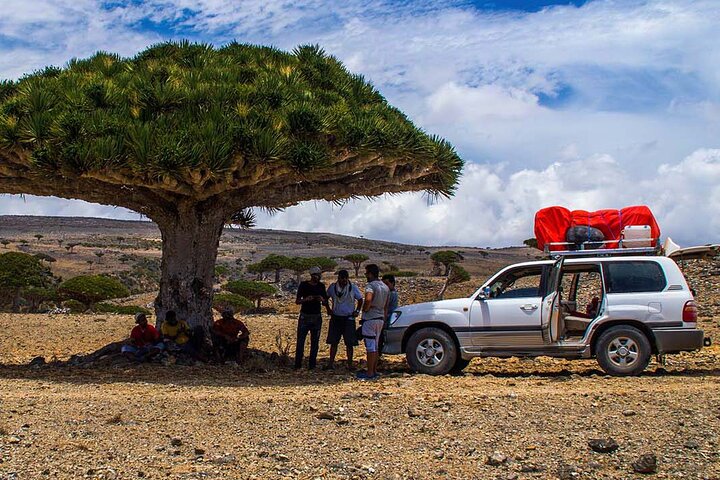 Image 1 of socotra island worth visiting