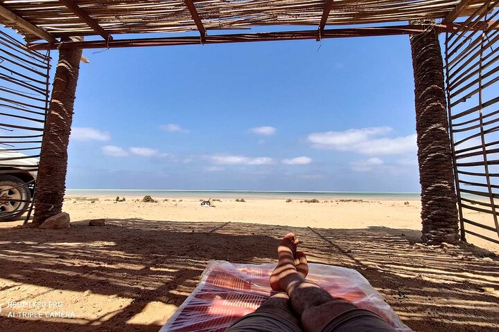 socotra island worth visiting,is socotra worth visiting,socotra best time to visit,socotra tour deals,best tours in socotra,socotra travel guide - complete tour package inclusions and what to expect