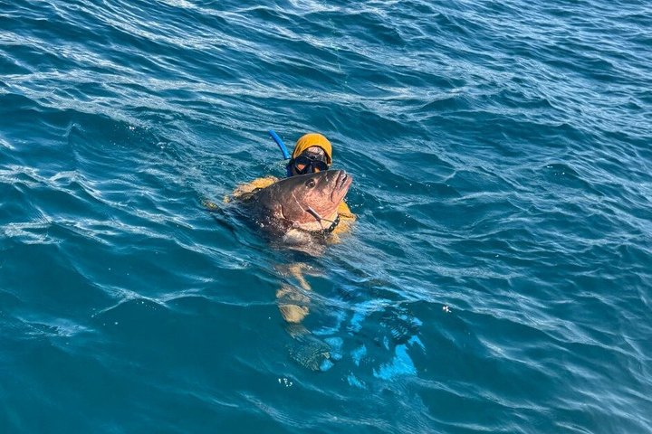 Image 1 of spearfishing in Manuel Antonio