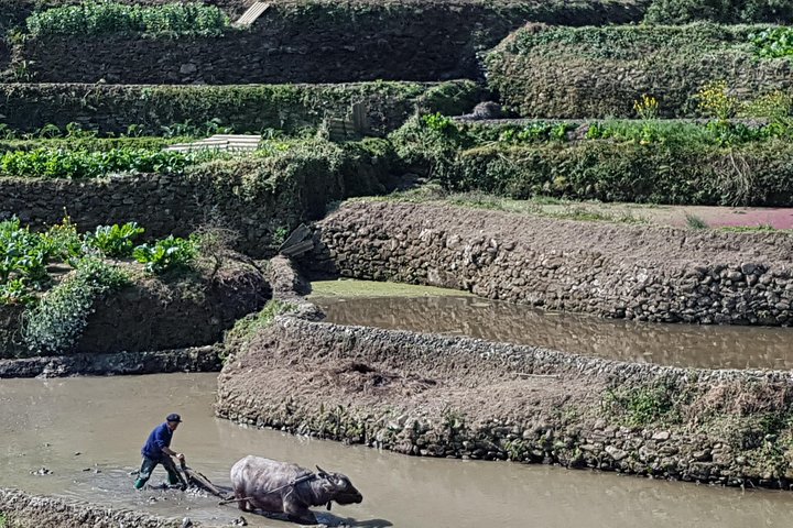 yuanyang stone forest photography tour,yuanyang rice terraces tour,stone forest photography trip,yunnan photography tour deals,best time to visit yuanyang,is yuanyang worth visiting - complete tour package inclusions and what to expect