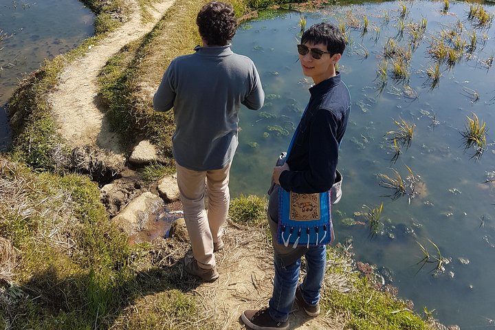 Step-by-step travel guide for yuanyang stone forest photography tour,yuanyang rice terraces tour,stone forest photography trip,yunnan photography tour deals,best time to visit yuanyang,is yuanyang worth visiting - transport and logistics