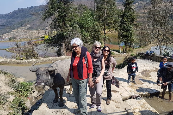 yuanyang stone forest photography tour,yuanyang rice terraces tour,stone forest photography trip,yunnan photography tour deals,best time to visit yuanyang,is yuanyang worth visiting - best seasons and travel conditions